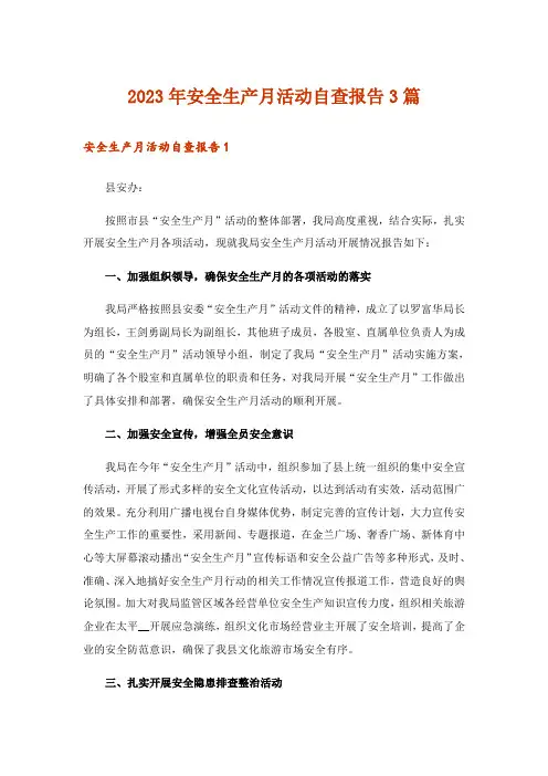2023年安全生产月活动自查报告3篇