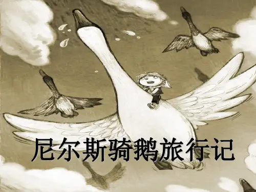 我的读书交流尼尔斯骑鹅旅行记 ppt课件