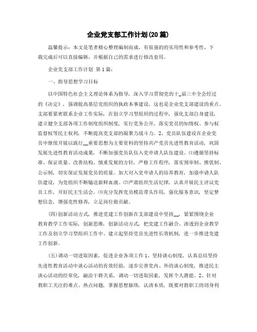 企业党支部工作计划(20篇)范文