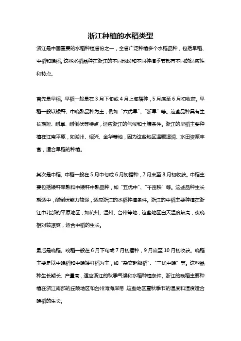 浙江种植的水稻类型