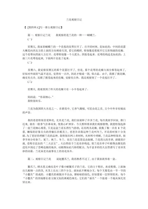 兰花观察日记精选