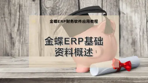 金蝶ERP基础资料概述