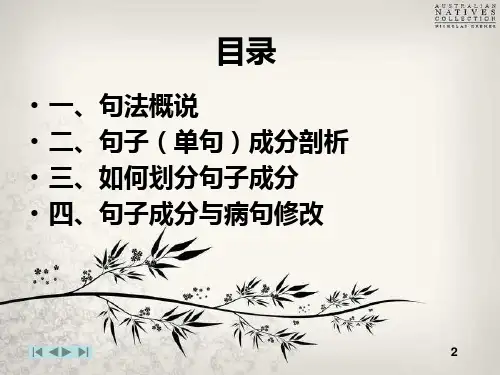 现代汉语句法知识讲解