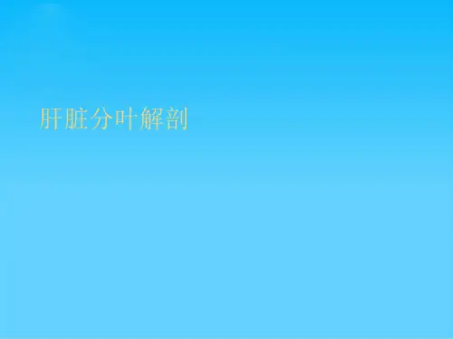 肝脏分叶解剖