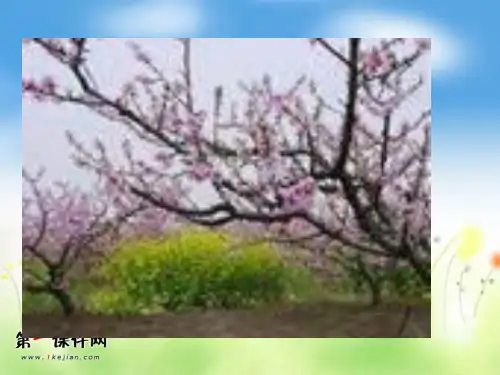 春的消息ppt(西师大版)PPT优选课件