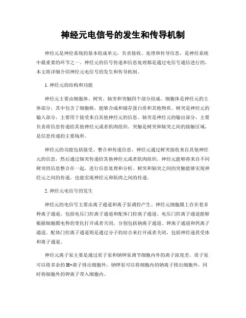 神经元电信号的发生和传导机制