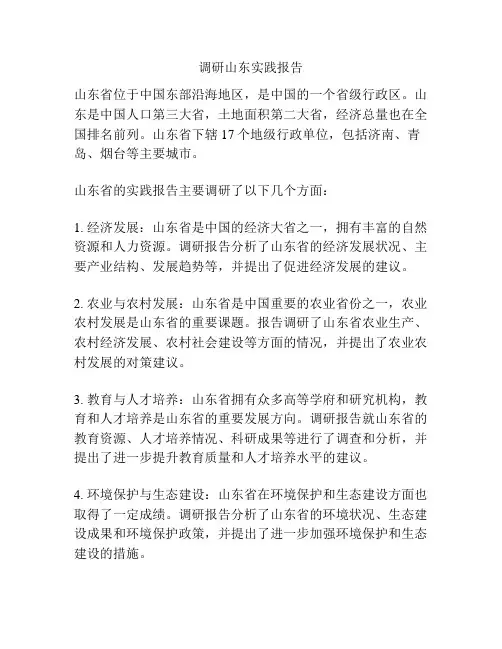 调研山东实践报告