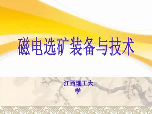 磁电选矿装备与技术