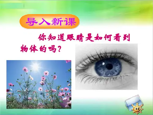 浙教版七年级科学下册2.6透镜和视觉