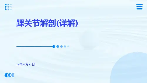 (医学课件)踝关节解剖(详解)