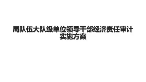 局队伍大队级单位领导干部经济责任审计实施方案.pptx