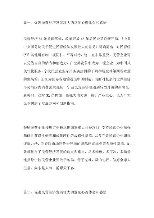 2023促进民营经济发展壮大的意见心得体会范文