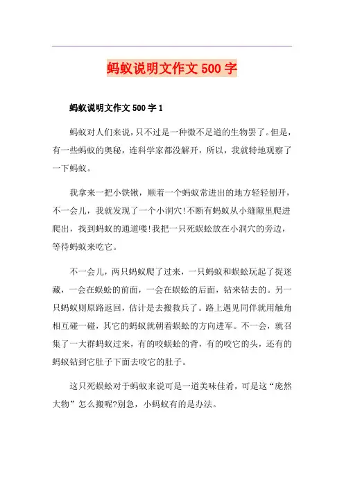 蚂蚁说明文作文500字