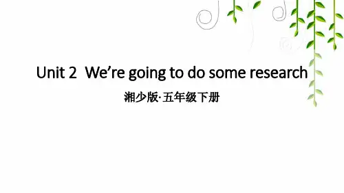 湘少版五年级英语下册Unit 2  We’re going to do some research
