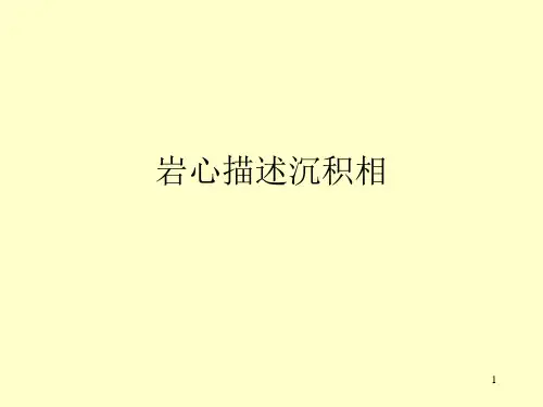 岩心描述沉积相课件