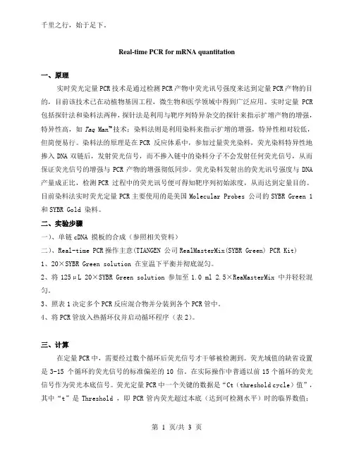 实时荧光定量PCR技术