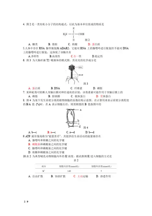2020上海高中生物学业水平考试模拟试题及答案