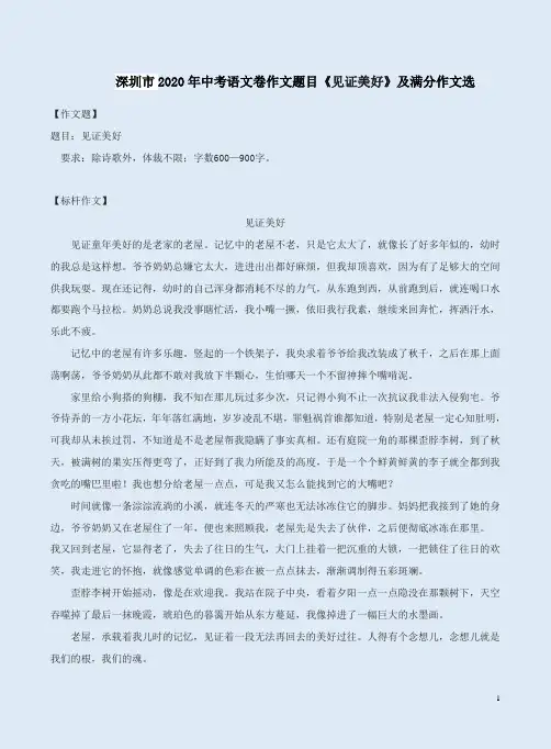 深圳市2020年中考语文卷作文题目《见证美好》及满分作文选