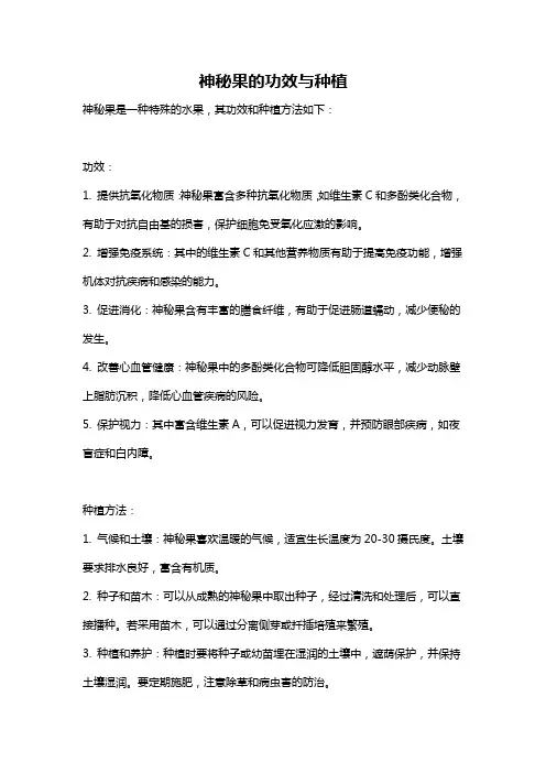 神秘果的功效与种植