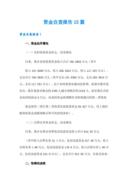 资金自查报告15篇
