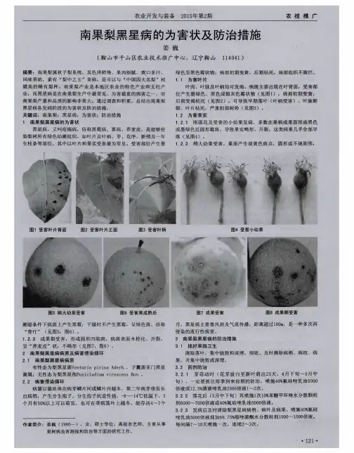 南果梨黑星病的为害状及防治措施