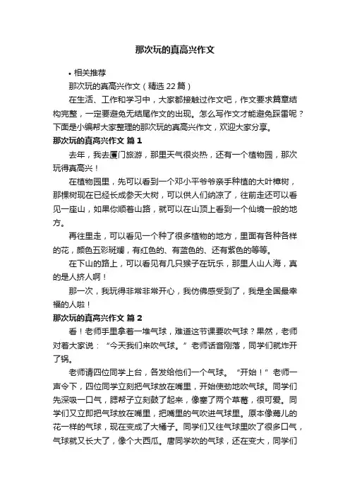那次玩的真高兴作文