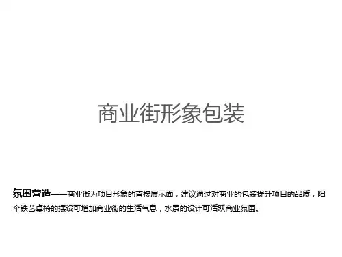 商业街形象包装展示方案