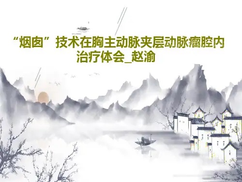 “烟囱”技术在胸主动脉夹层动脉瘤腔内治疗体会_赵渝PPT48页