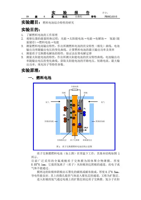 燃料电池综合特性研究