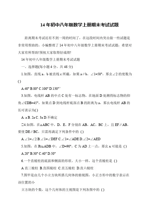 14年初中八年级数学上册期末考试试题