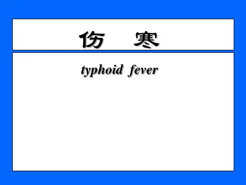 伤寒PPT医学课件