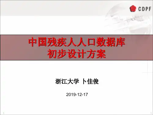 中国残疾人人口数据库初步设计方案