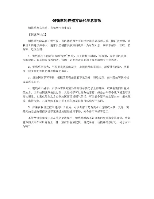 铜钱草的养殖方法和注意事项