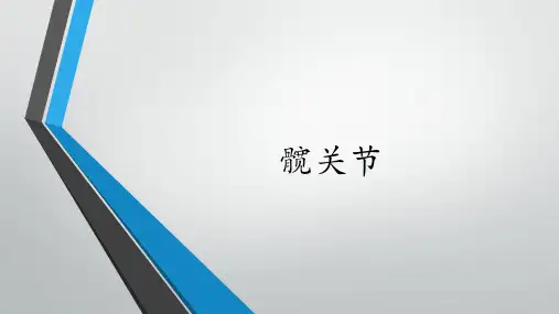 髋关节 ppt课件