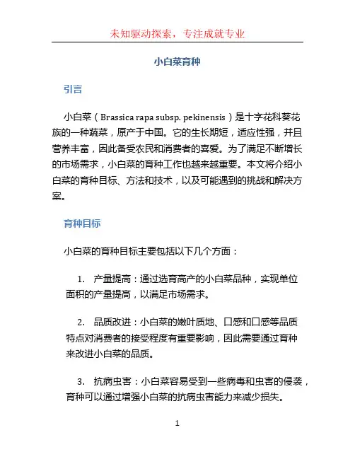 小白菜育种