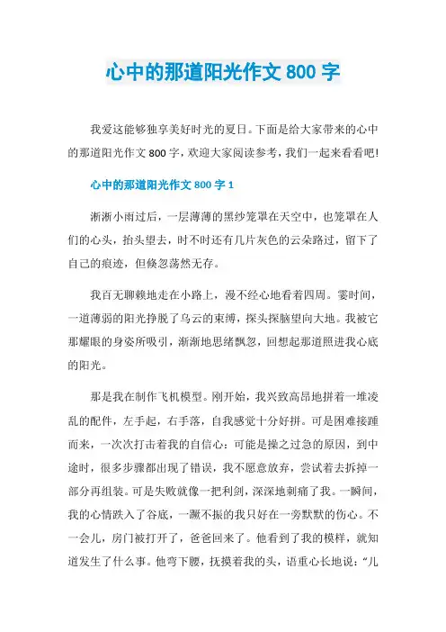 心中的那道阳光作文800字
