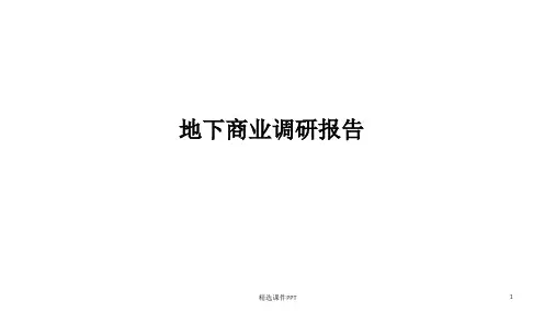 地下商业调研报告_30p_专题研究分析ppt课件