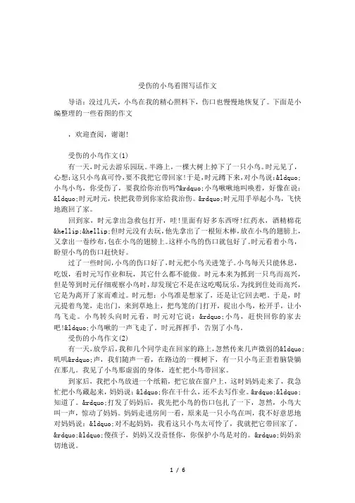 受伤的小鸟看图写话作文 2