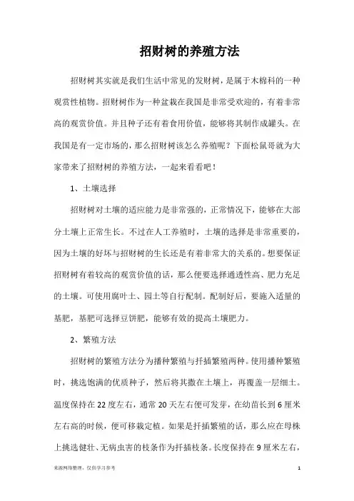 招财树的养殖方法