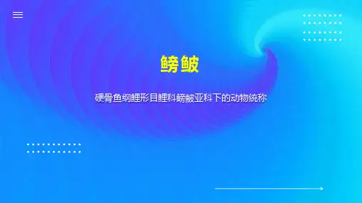 鳑鲏    