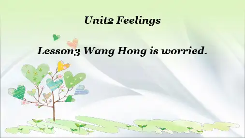 鲁科版英语五年级上册Unit2  Lesson3 Wang Hong is worried 课件