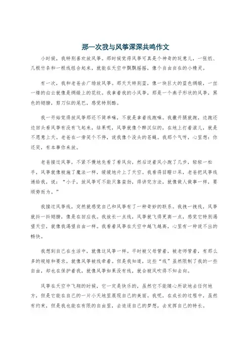那一次我与风筝深深共鸣作文