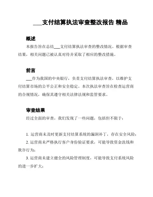 ___支付结算执法审查整改报告 精品