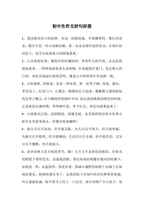 初中生作文好句好段