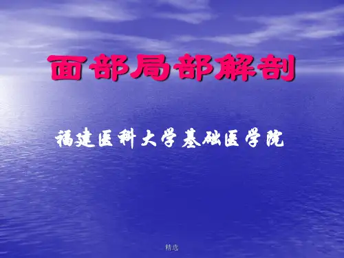 经典面部局部解剖.ppt