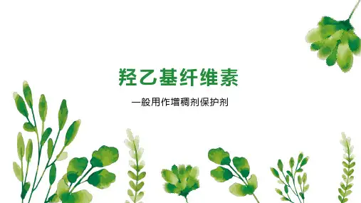 羟乙基纤维素