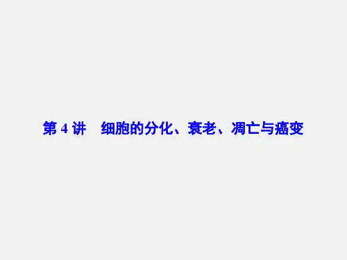 高考生物 一轮复习 第四章 细胞的生命历程 第4讲 细胞的分化、衰老、凋亡与癌变