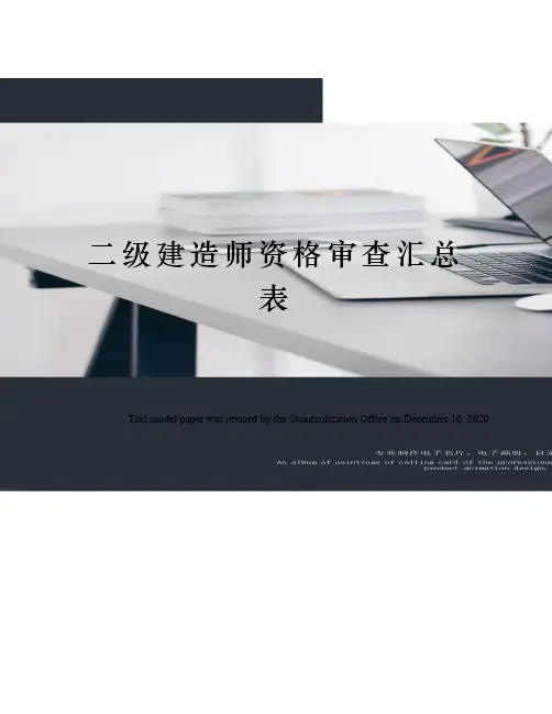 二级建造师资格审查汇总表