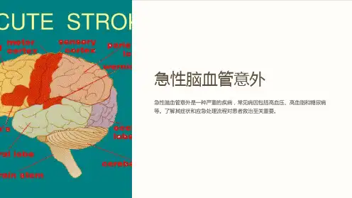 急性脑血管意外