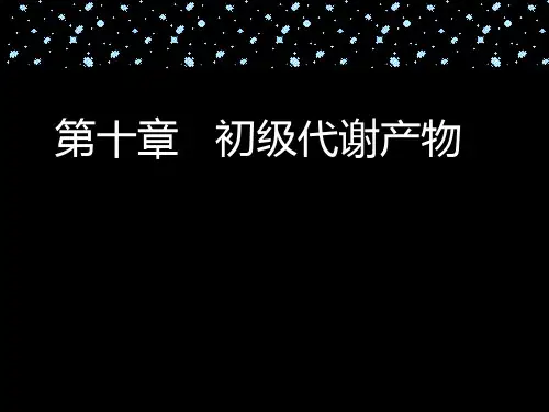 氨基酸生产工艺 ppt课件